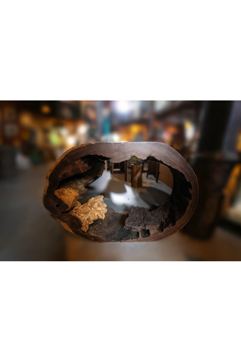 Heart of the Root – Fossil Wood Sculptural Table